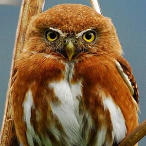 Meet your Posher, Zaira